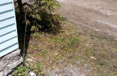 Pleasant Point Cottage | Canadiana Cottage in Quiet Community