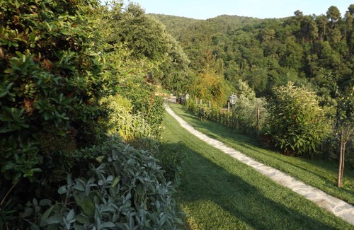 Greve in Chianti Bed & Breakfast | Canto dei Merli