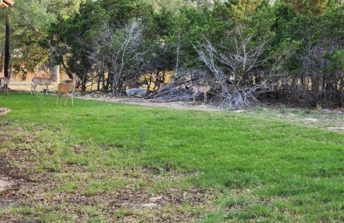 Canyon Lake Villa | Canyon Lake Oasis! 3 MIN to Boat Ramp Pet Friendly