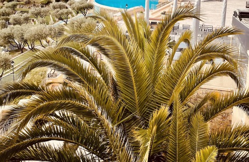 Cap Esterel Apartment | Cap Esterel Studio Cabine / Vue Piscine Et Mer Réf C2 308