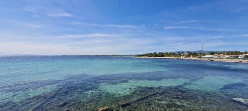 Capitana Apartment | Capitana Home