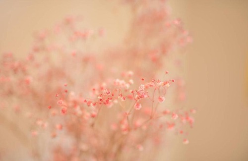 Wentworth Point Apartment | Captivating 1bed1study Wentworth Point APT (+view)