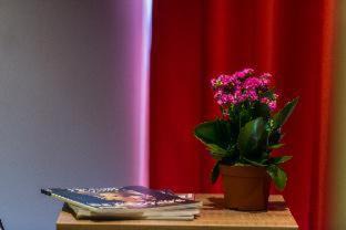 Hamra Hotel | Caramel Boutique Hotel
