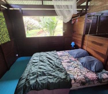 Roura Other | Carbet à la ferme Molokoï attitude