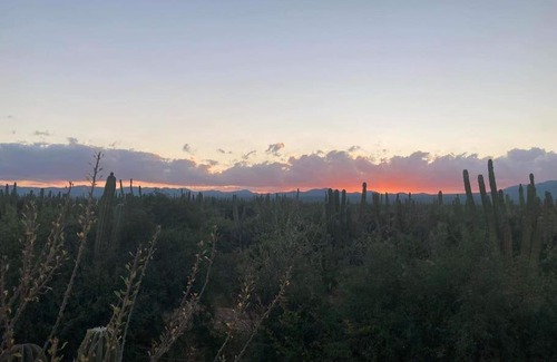 La Ventana Apartment | Cardón Alley Studio #2 - 2nd Floor