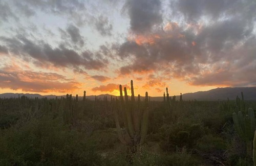 La Ventana Apartment | Cardón Alley Studio #4 - 2nd Floor