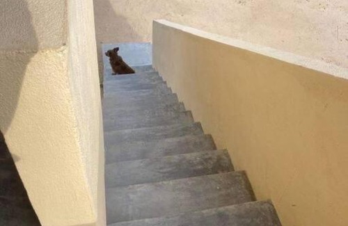 La Ventana Apartment | Cardón Alley Studio #4 - 2nd Floor