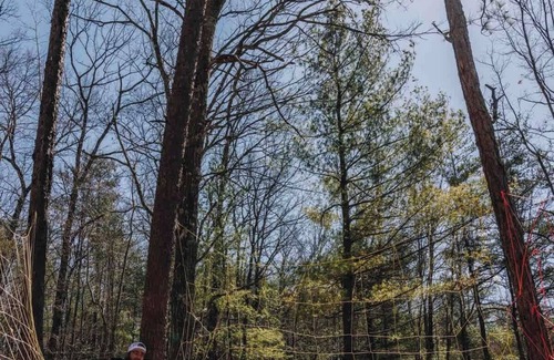 Primrose RV Rental | Cardinal’s Nest-Lux Camping Tent in The Gorge