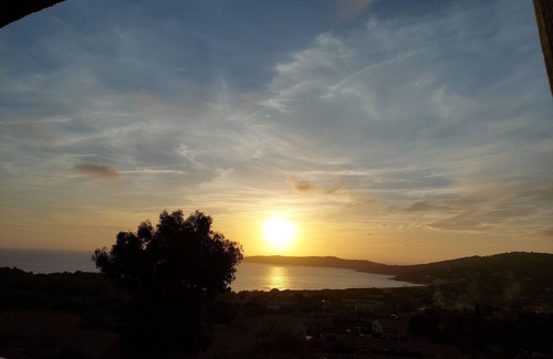 Cargese Apartment | Cargèse sea view apartment in private residence with trees