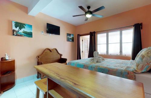 San Pedro Hotel | Caribbean Lily @ Caribe Island