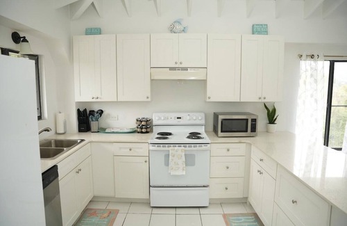 Rosendal Apartment | Caribbean Sugar Apple Retreat