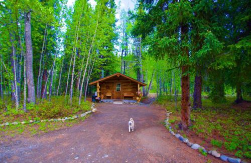 McKinley Park Cabin | Carlo Creek Cabins