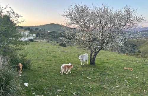 Itri House | CASA ADELE 1 per una vacanza in semplicità e relax in prossimità di Sperlonga