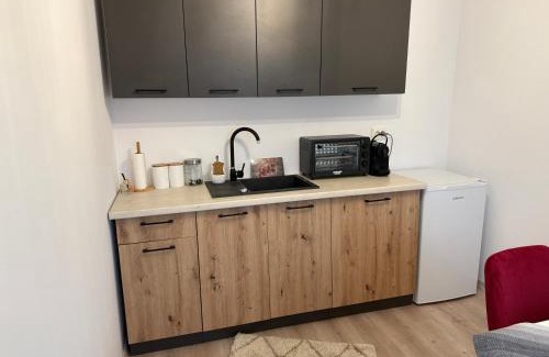 Campulung Moldovenesc House | Casa Alex