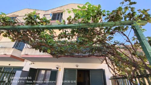 Bosa Historic Centre House | Casa Allende