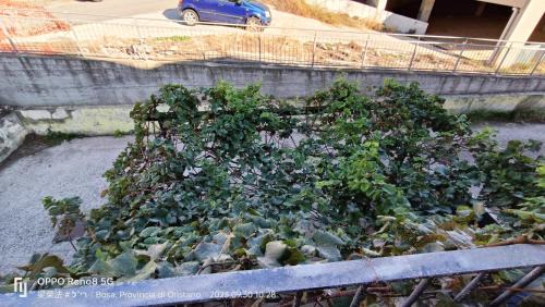 Bosa Historic Centre House | Casa Allende