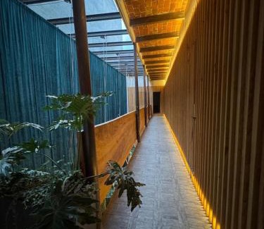 Roma Norte Hotel | Casa Almamía