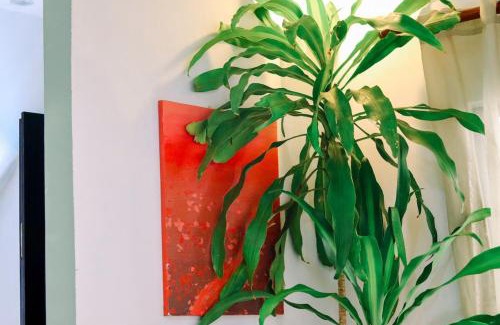 Barretto House | Casa Alta Mountain View with Billiard & Karaoke