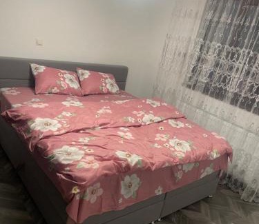 Caransebes House | Casa Andrei !