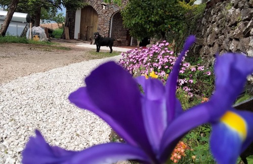 Dorgali House | Casa Belvedere Sa Costa: apartment nestled in the green countryside in Dorgali
