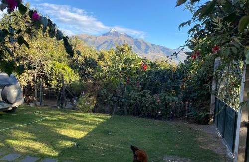 Cotacachi Apartment | Casa Blanca departamento