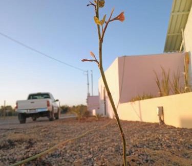 El Pescadero House | Casa Bonita