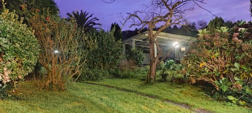 Barreiros House | Casa BRAIS