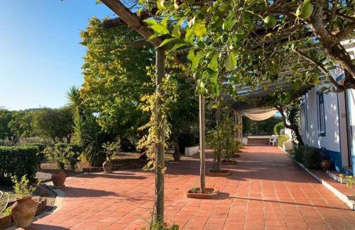 Alvito House | Casa Bungavilia - Roots of Alentejo