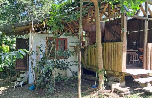 Almirante House | Casa Cacao