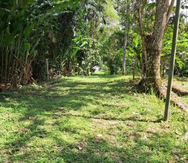 Almirante House | Casa Cacao