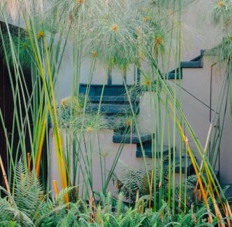 Agua Fria Hotel | Casa Chichipicas Hotel Boutique