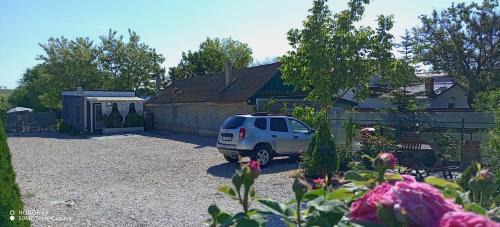 Murighiol House | Casa Chitu