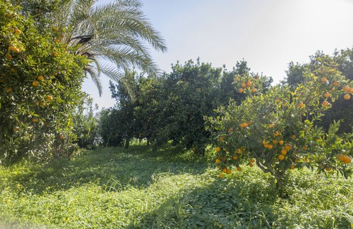 Mires House | Casa Cicala in Pombia