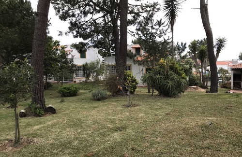 Grandola House | Casa da Falésia - Praia da Galé