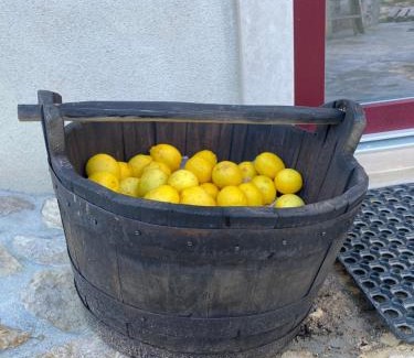 Penela House | Casa da Lima Rabacal - Rest, Reflect, Reconnect in Nature