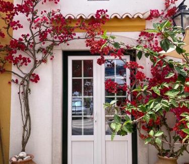 Portinho da Arrabida Apartment | Casa da Nazaré