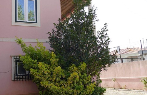 Leiria Villa | Casa da Palmeira, Comfort and simplicity in Leiria