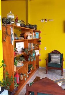 Alter do Chao House | Casa da Vila - Hospedaria - 3 min do centrinho de Alter