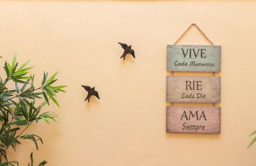 Ribeira de Pena House | Casa da Vila