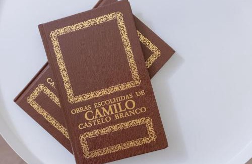 Ribeira de Pena House | Casa da Vila