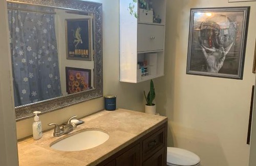 Groves Lincoln Park House | Casa de Basswood