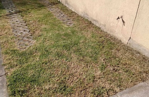 Chalco de Diaz Covarrubias House | Casa DE DOS Niveles