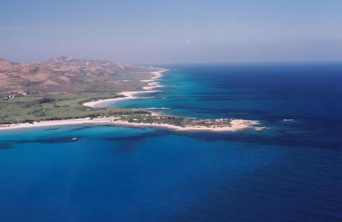 Cala Liberotto Apartment | Casa Degli Ulivi 2 - seminterrato