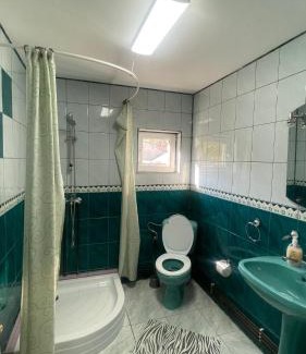 Vatra Dornei House | Casa Delia Vatra Dornei