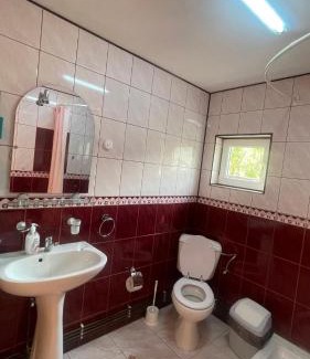 Vatra Dornei House | Casa Delia Vatra Dornei