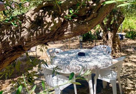 Paceco House | Casa dell'Olio - Al Baglio