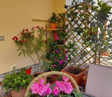 Feltre Apartment | Casa della nonna