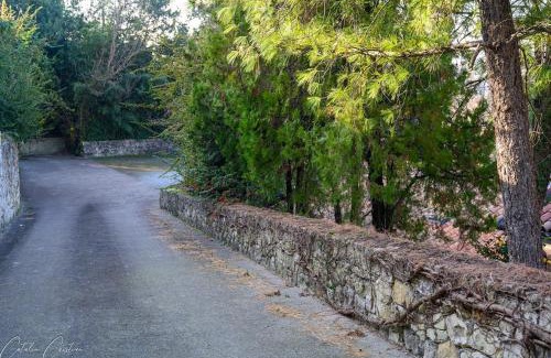 Pedemonte Apartment | Casa delle Magnolie a poca distanza da Verona e Fiera