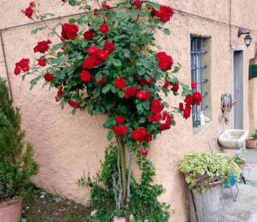 Cavallina Apartment | Casa di Campagna Il Granaio