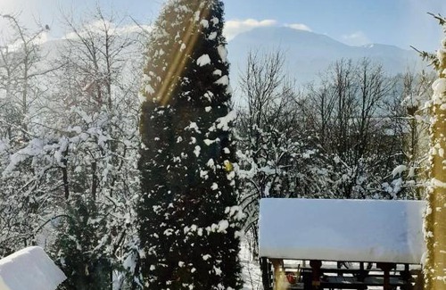 Borsa Villa | Casa din livada